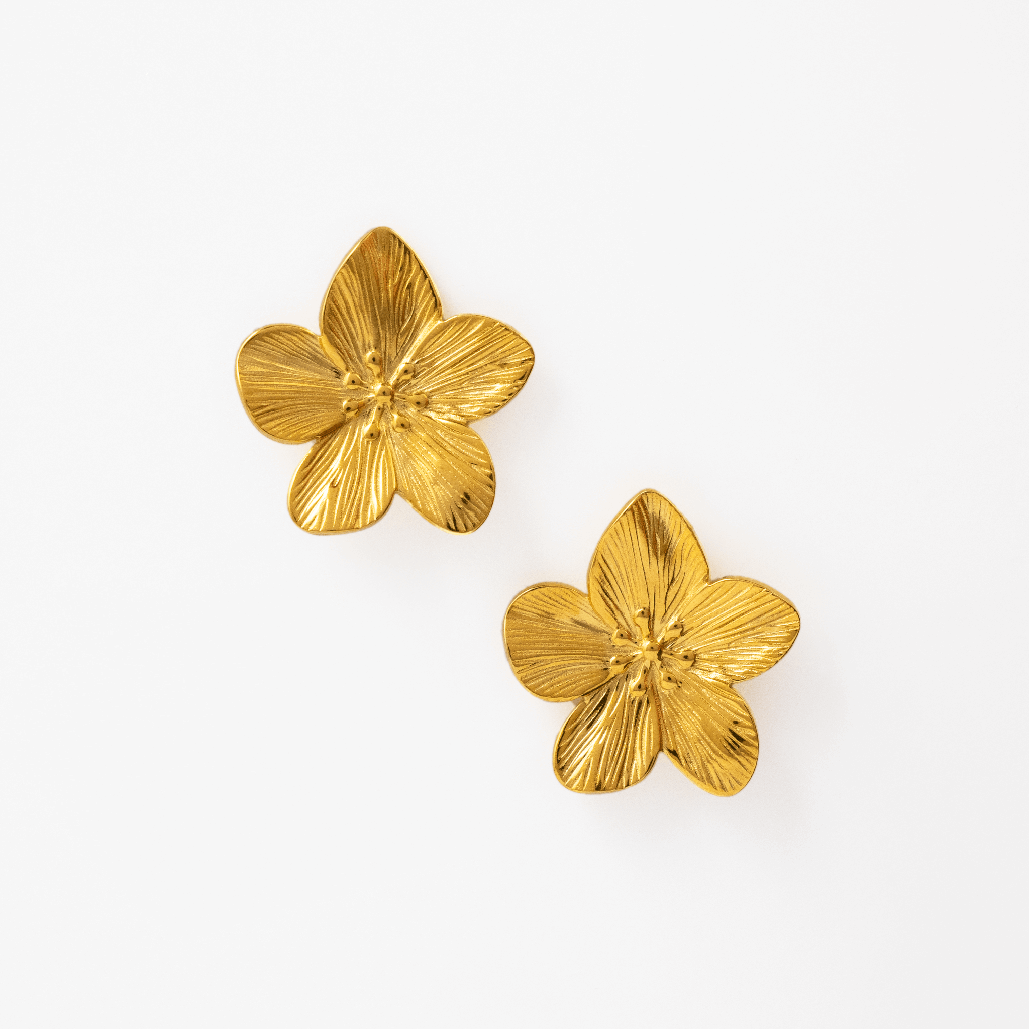 Bloem Pareldot Set